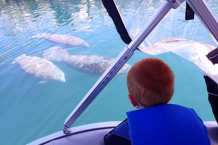 Crystal River Manatee Viewing & Sightseeing Boat Tour - Photo 1 of 9